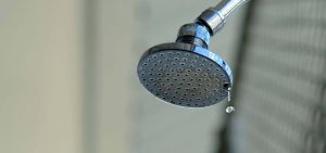 Dripping showerhead | S&J Plumbing & Gasfitting