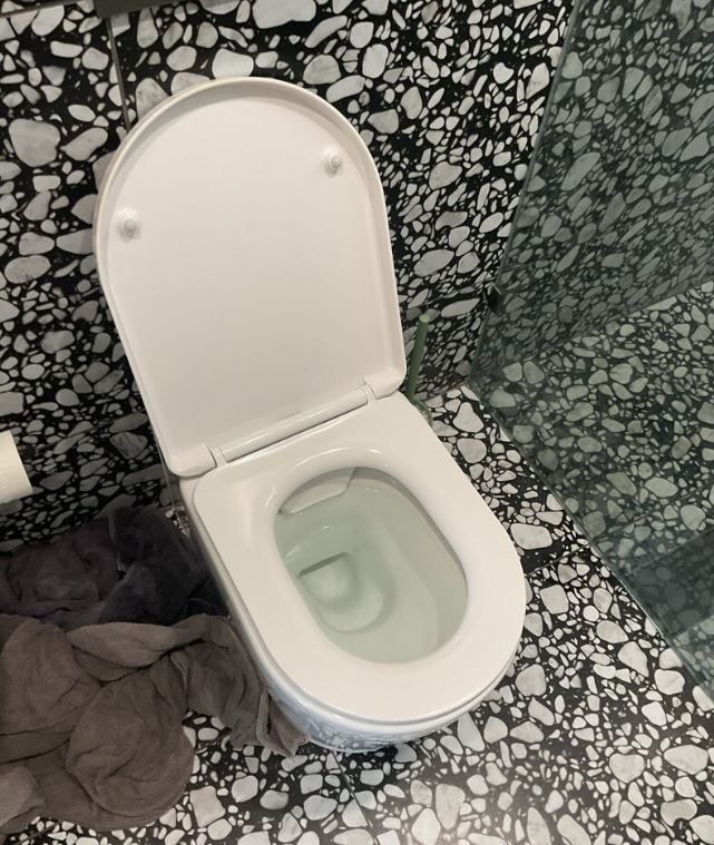 blocked-toilet-cleared-camp-hill Blocked Toilet Cleared Camp Hill