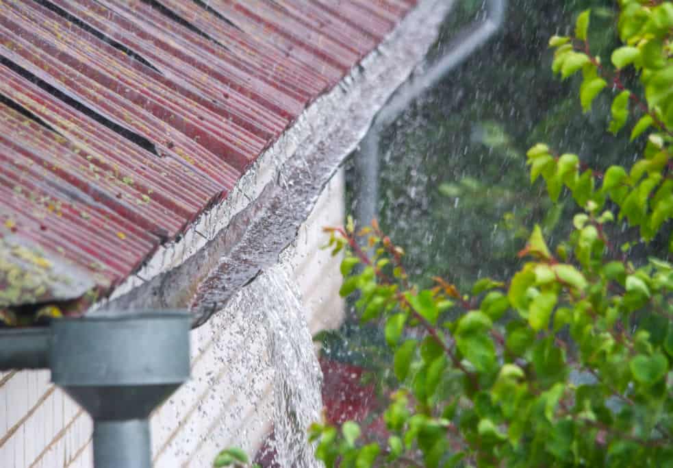 Overflowing Gutters