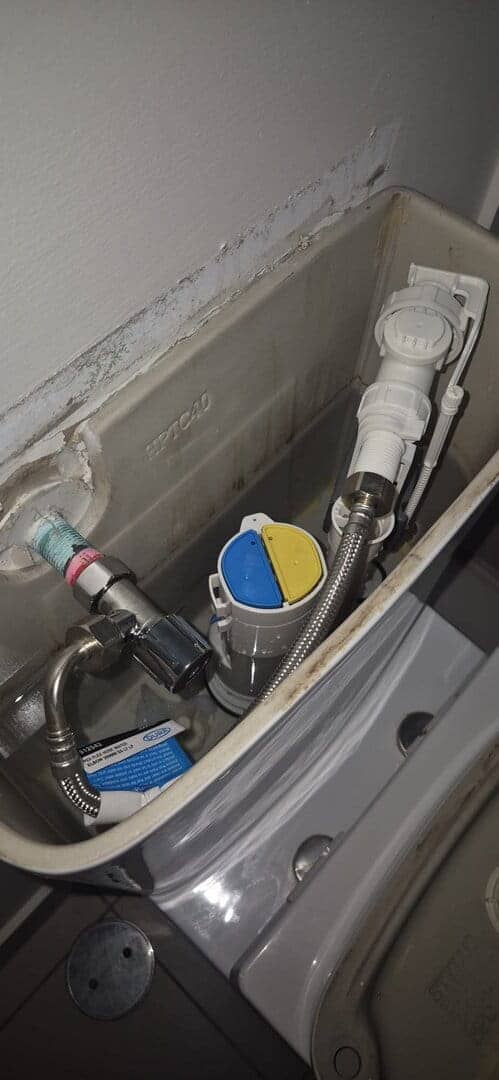 toilet-cistern-fixed-hamilton Toilet Cistern Fixed Hamilton
